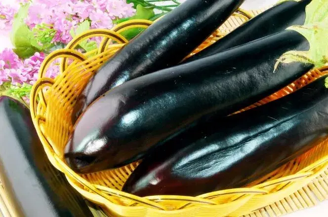 黄瓜茄子为什么会发苦如何才能避免