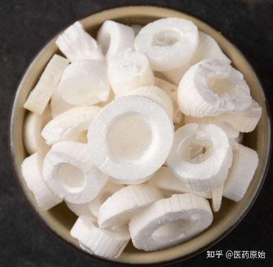 带你识别通草 - 知乎