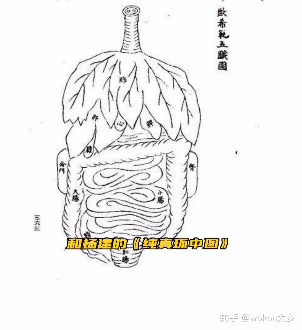 華夏文明的盜洞(一) - 知乎