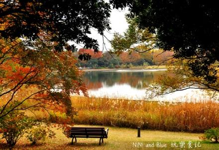 东京赏红叶的十大必选地 知乎