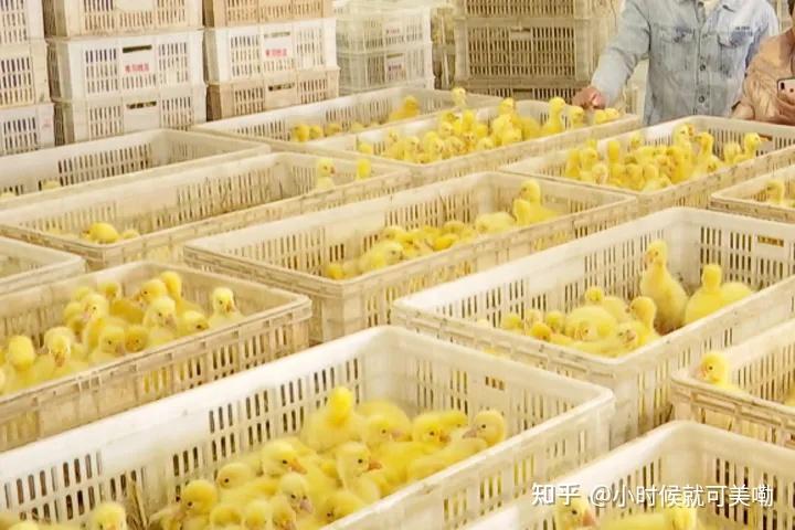 金网分析世界经济开始回暖