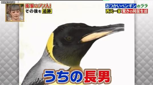 v2-4d2bad16608fbfd6ec7361c19031b2f5_r.jpg