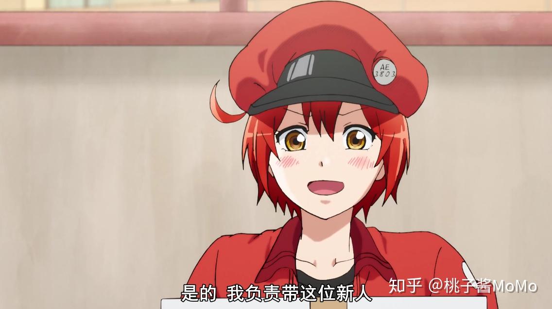 从排行评论下面偷来的