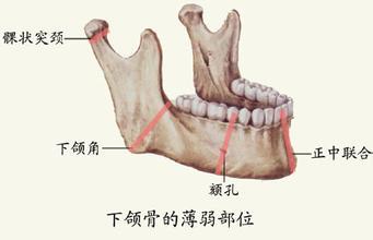 关注颞下颌关节紊乱病,关注口腔健康 - 知乎