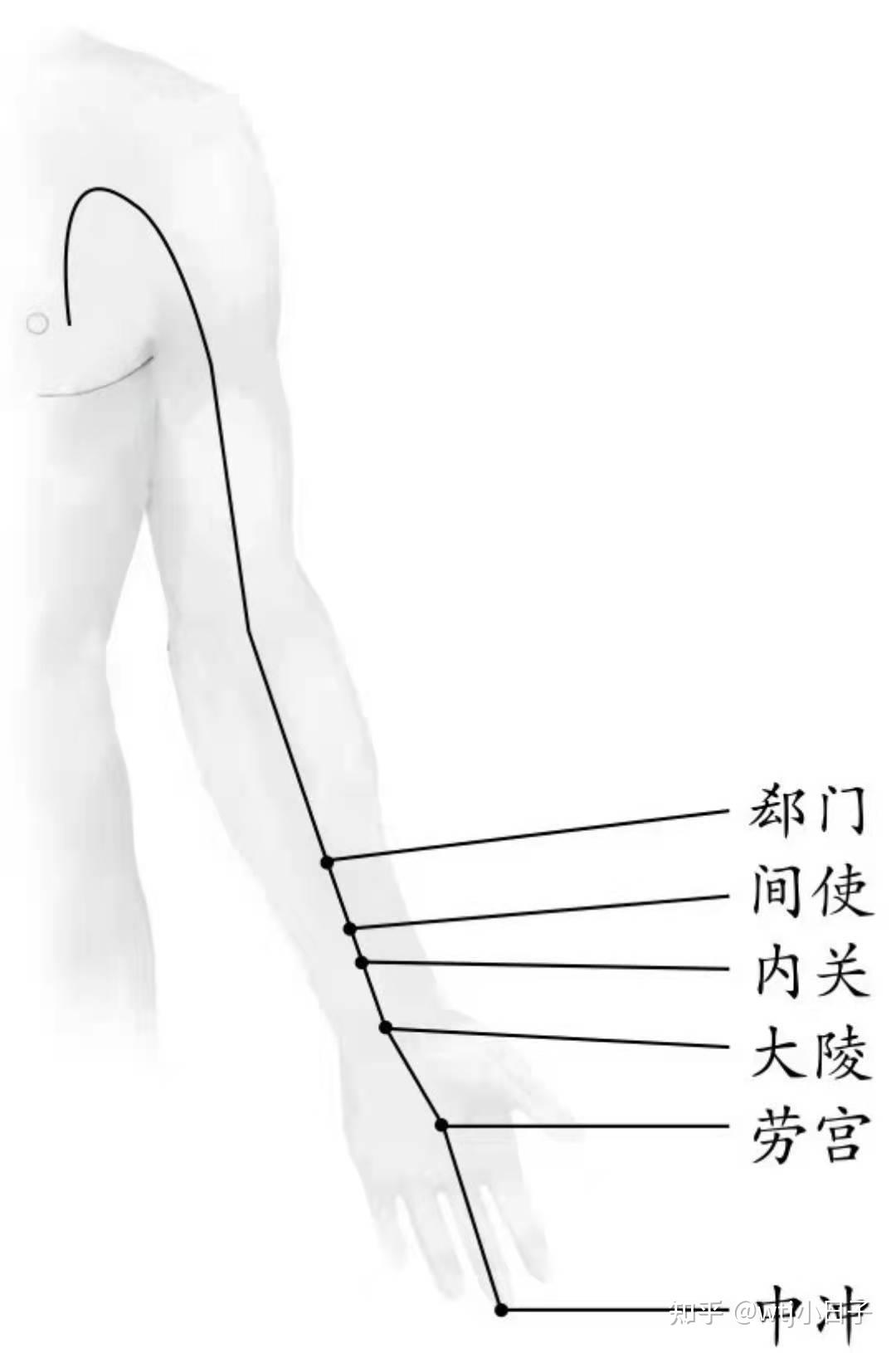 郄门的准确位置图作用图片