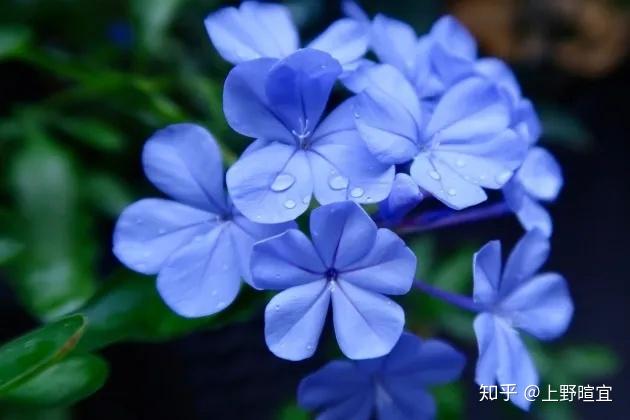 v2-4d3c961740c3bff39d97a767970f539d_r.jpg