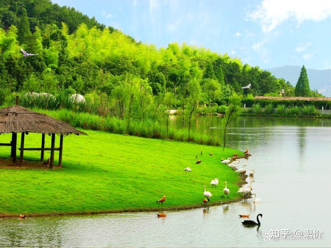 安吉旅游攻略：必打卡十大景点排行榜，探秘绿水青山间的魅力胜地 - 知乎