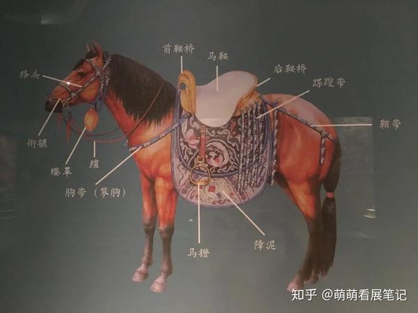 看展记 | 广东省博物馆「契丹印象——辽代文物精品展」（上） - 知乎