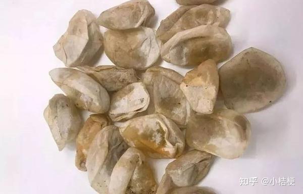 蚕茧种类大全-决定蚕丝被的好坏源头 - 知乎