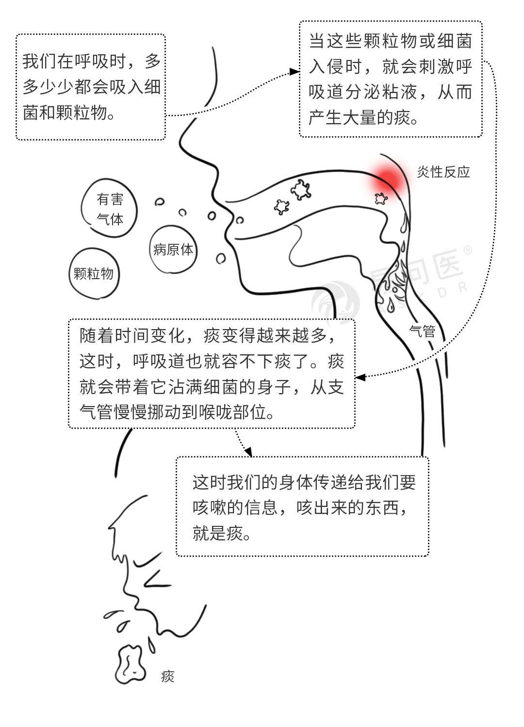 看完再也不敢咽痰了!