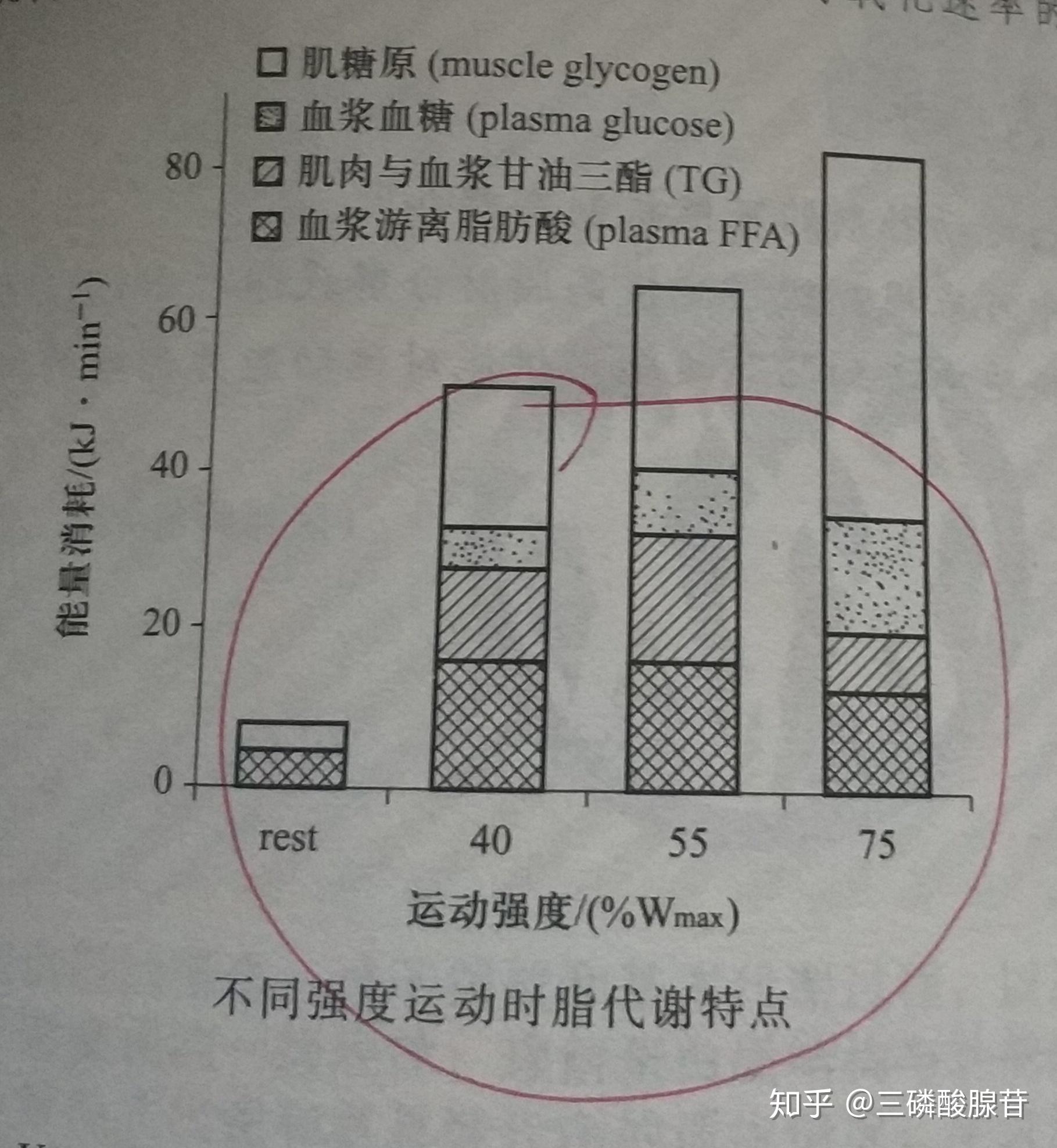 柱越高),而且脂肪所占比例是越来越小(比例看血浆游离脂肪酸)