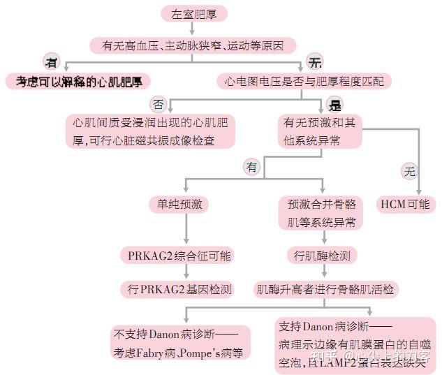 有研究对13个家族的38例通过基因检测明确诊断的danon病患者进行分析