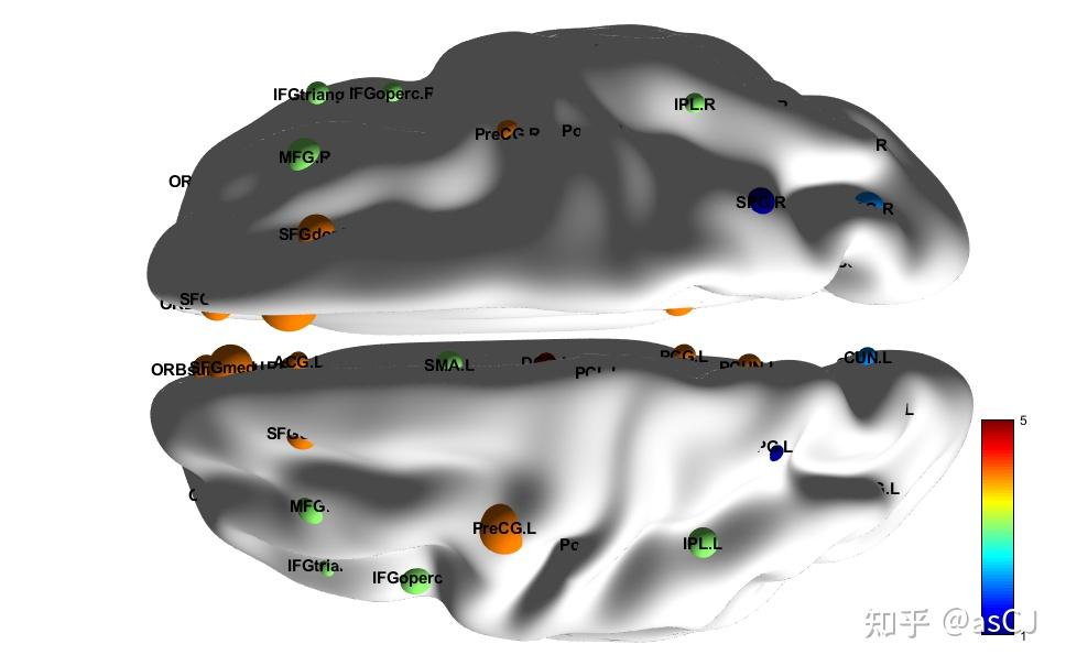 Brainnet Atlas BrainNet Viewer--脑连接组可视化工具 - 知乎