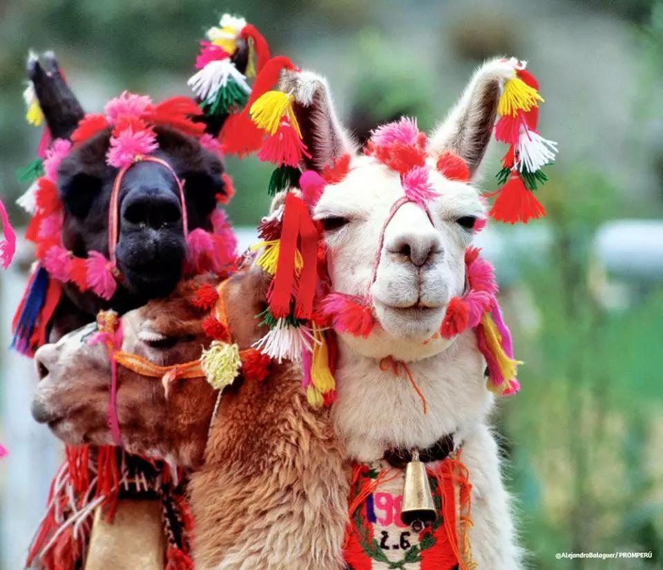 上下五千年,秘鲁居然是地球另一端的文明古国?