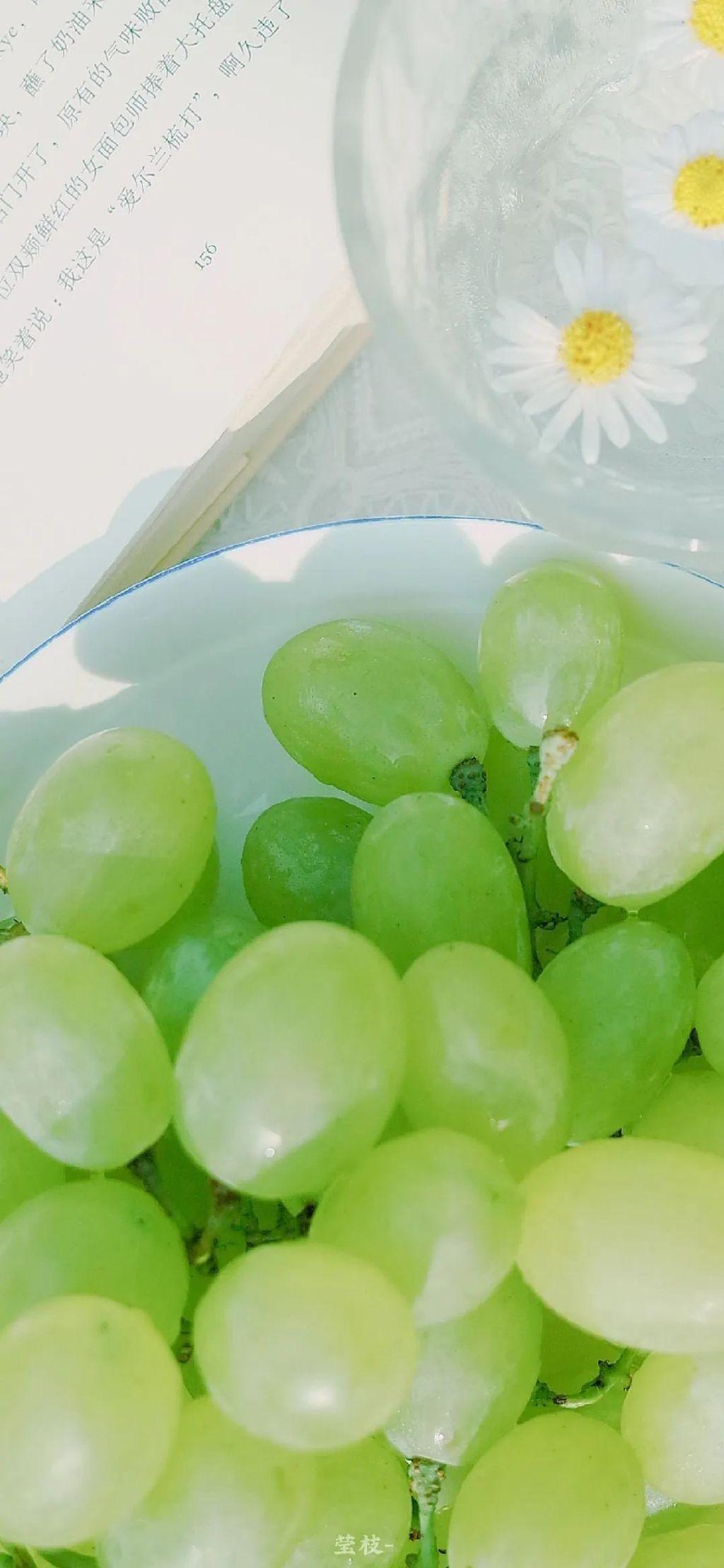 绿色降温壁纸干干净净的壁纸各类壁纸安静的壁纸夏天的壁纸清凉壁纸