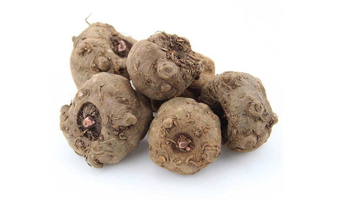 春播高山魔芋种植秘诀 - 知乎