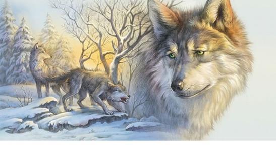 从母亲的角度看狼王梦看紫岚的一生我看到了哪些观点