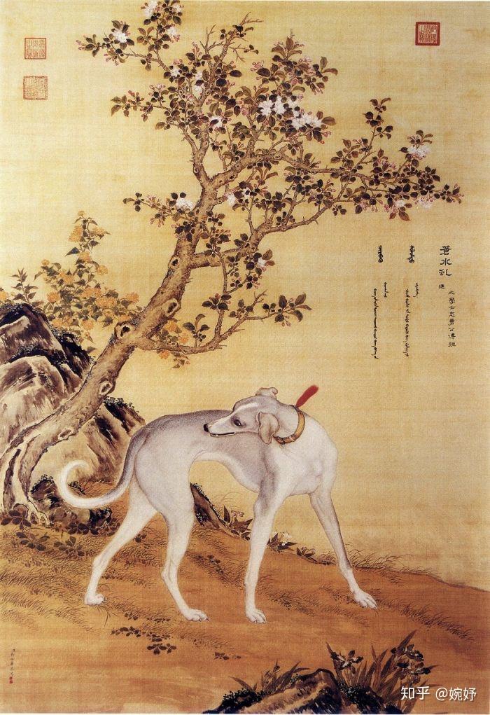 意大利传教士郎世宁一一大清宫廷洋画师的传奇人生 - 知乎