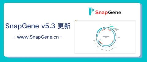 设置SnapGene的语言：简体中文 - 知乎