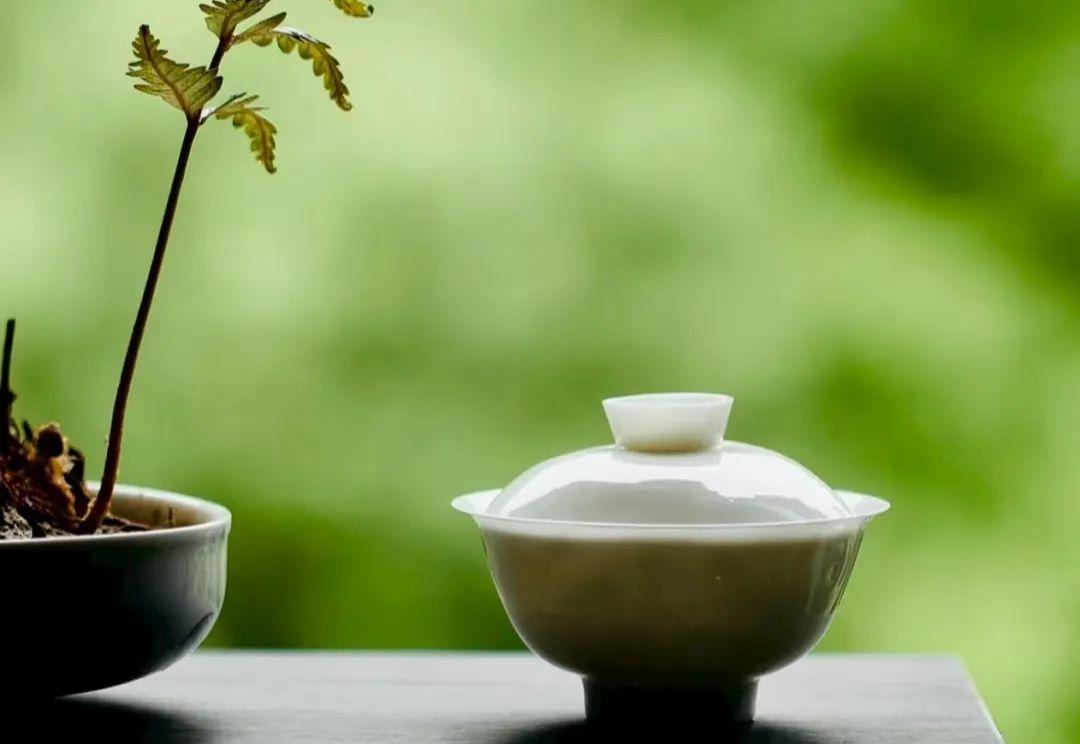 茶疗:从千年智慧到科学实证的茶汤养生术 - 知乎