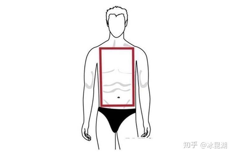 正方形身材1椭圆形身材,倒三角身材正方形身材,三角形身材,梯形身材五