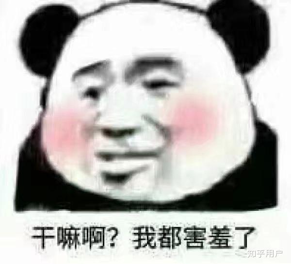 v2-4ddaa4a6a34e542b11d85ec37c6e84dd_r.jpg