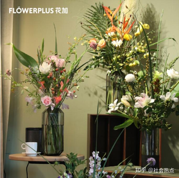 flowerplus