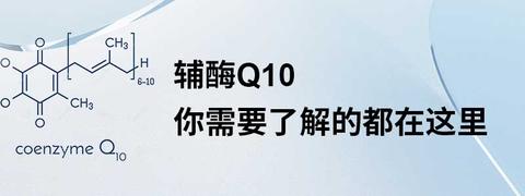 辅酶Q10哪个品牌好？效果怎么样！？