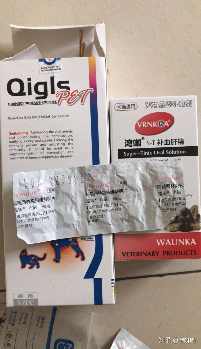 猫传腹要花多少钱441治疗持续更新中