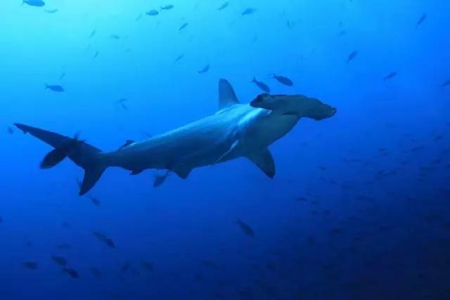 南美洲有哪些值得去的国家和美景?