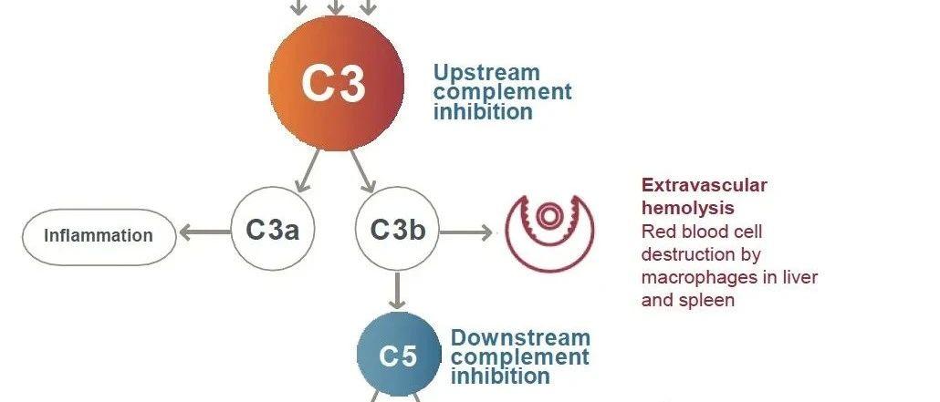 v2-4e079cd59c000516c4dd2bf8c94b6e4e_1440w.jpg?source=172ae18b