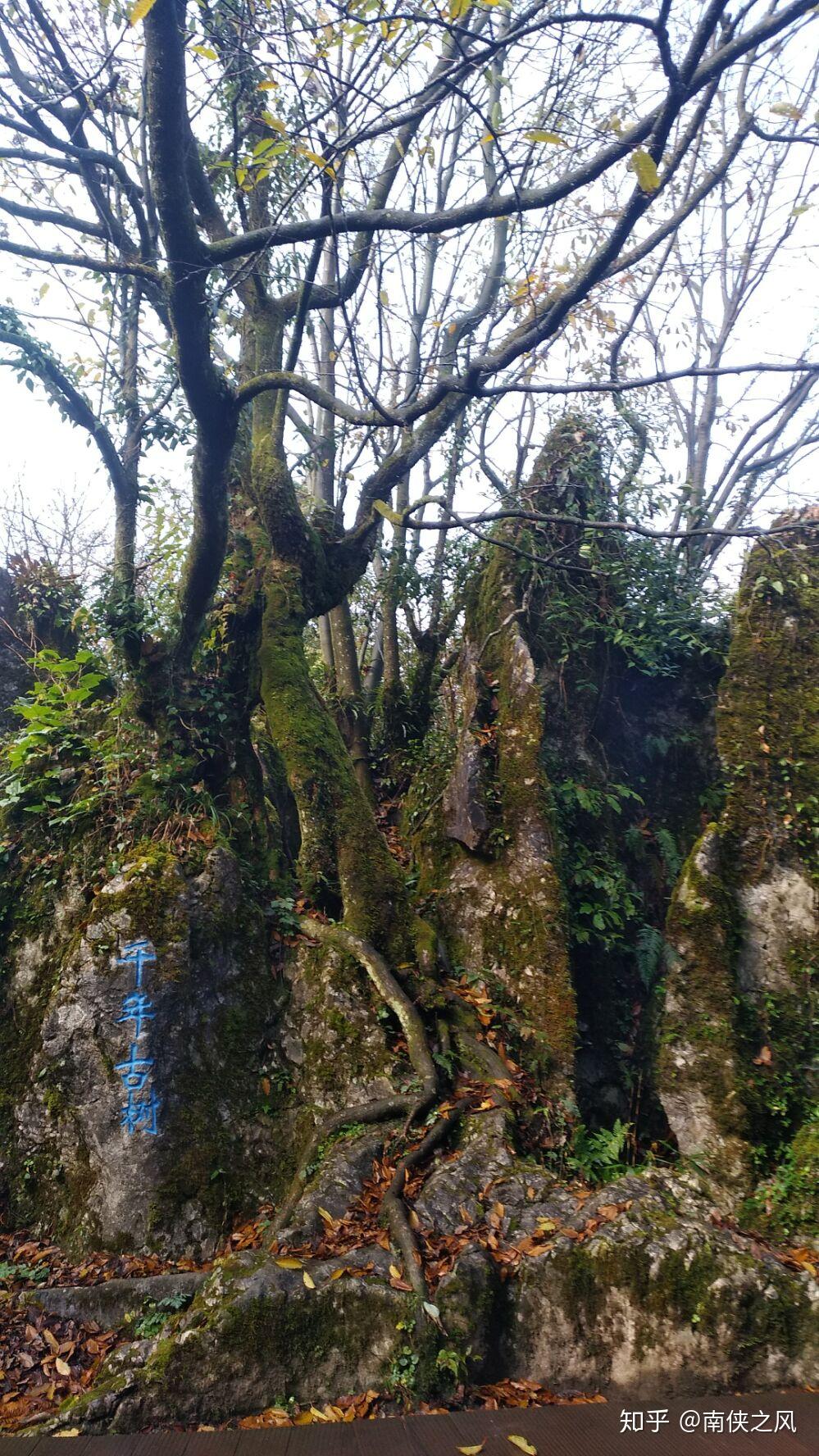 四川華鎣山視頻欣賞