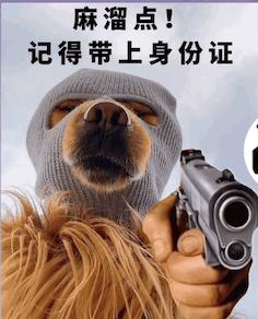有没有劫匪狗狗的表情包
