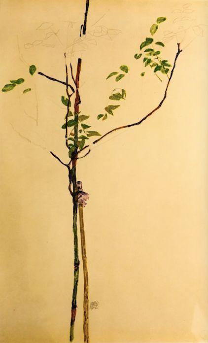 小树 | 埃贡·席勒1910年,在一封信中,席勒写道:"我走过克里姆特之路