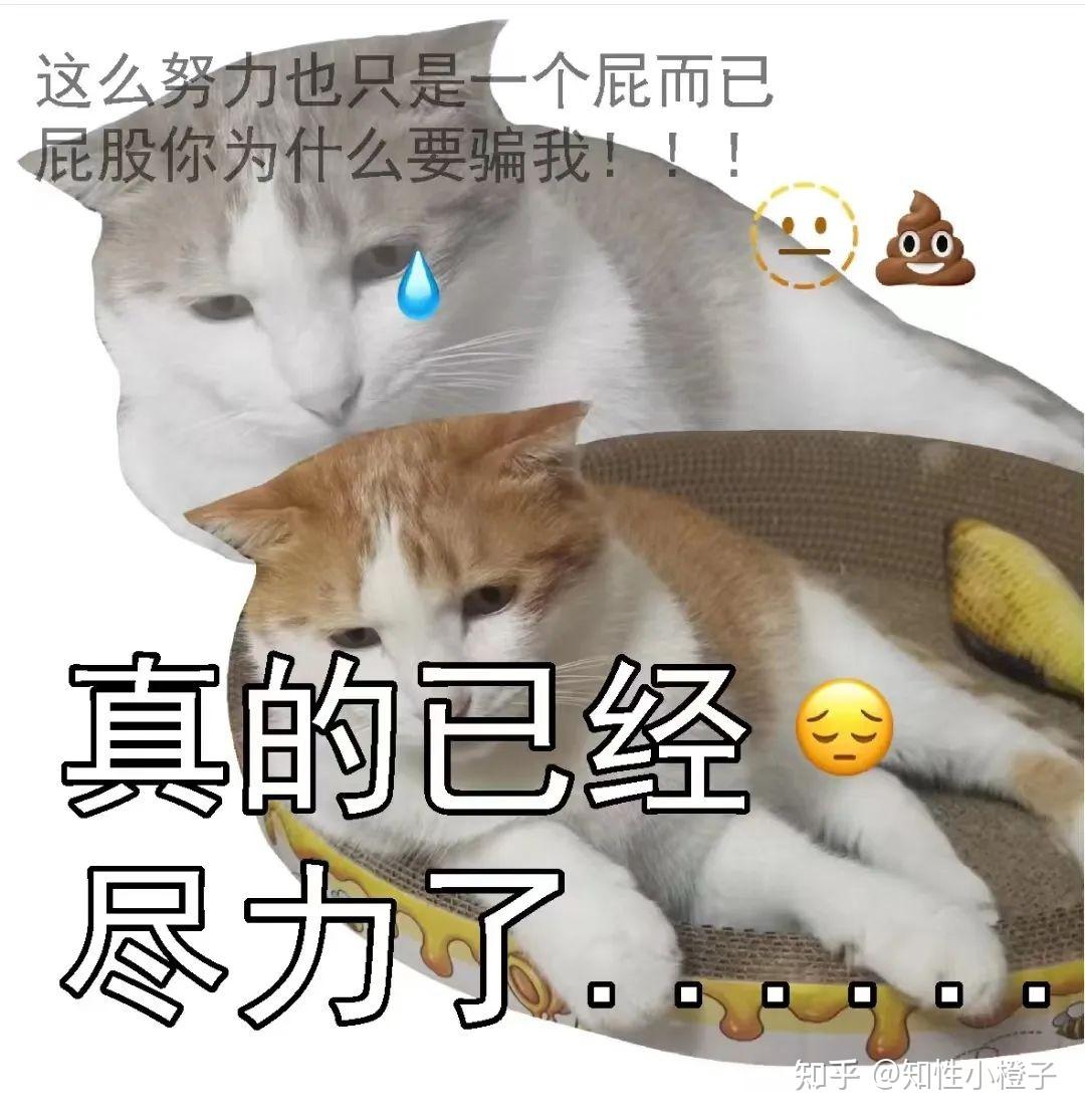 女生经常做提肛运动有什么好处 - 知乎