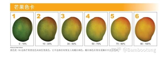 芒果须达到一定的成熟度,固形物含量不低于14%,成熟度高的芒果越容易
