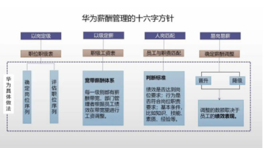 华为职业发展通道图片