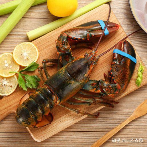 舟山渔场的美味,世界四大名菜之首,都是你的