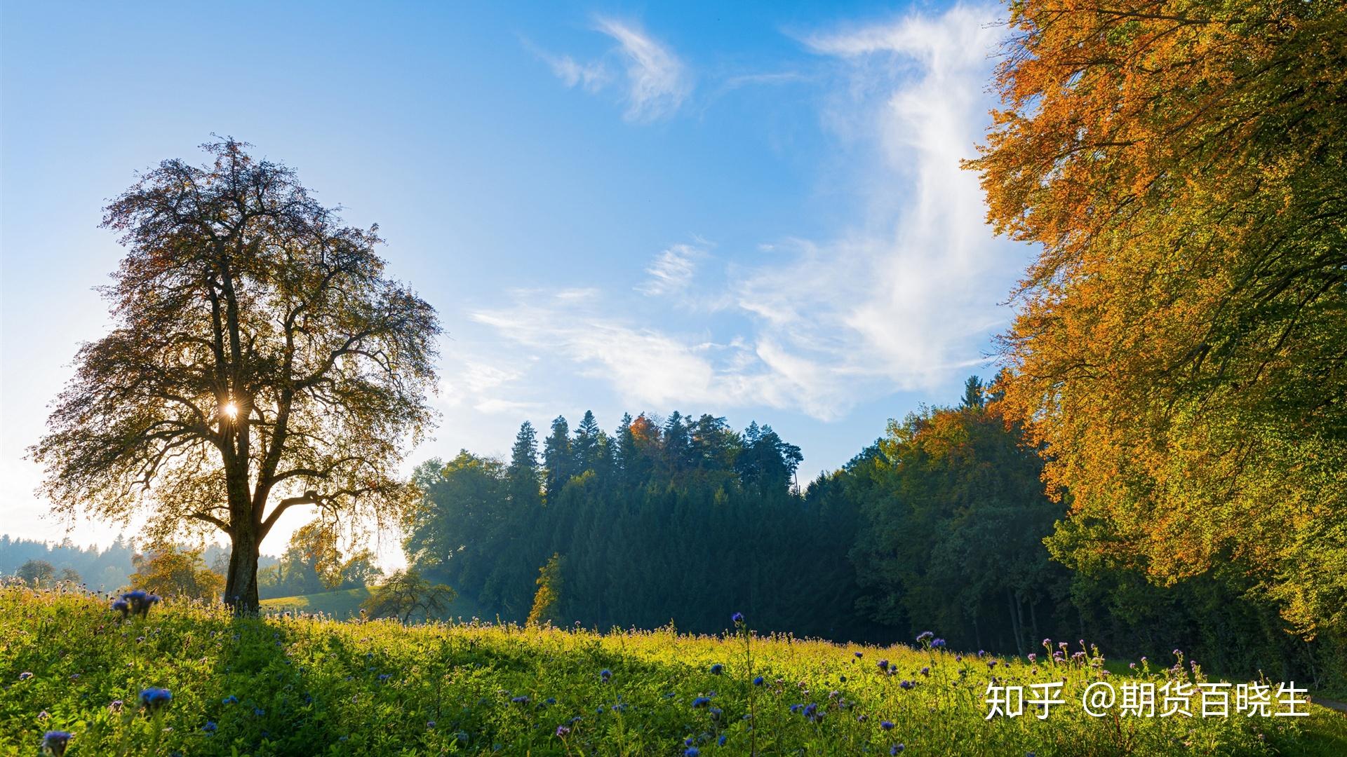 期貨交易成功的核心要素順勢止損規則執行力