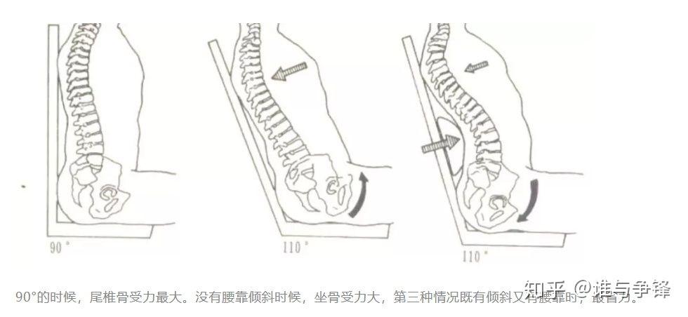 人体工学椅8有腰锥问题应该选什么样的椅