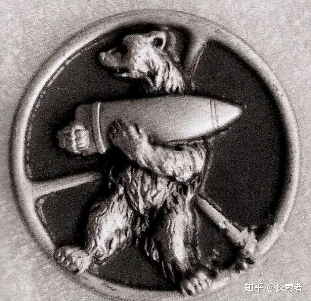 世界上唯一上过战场的熊下士，抽烟喝酒扛炮弹，样样精通- 知乎