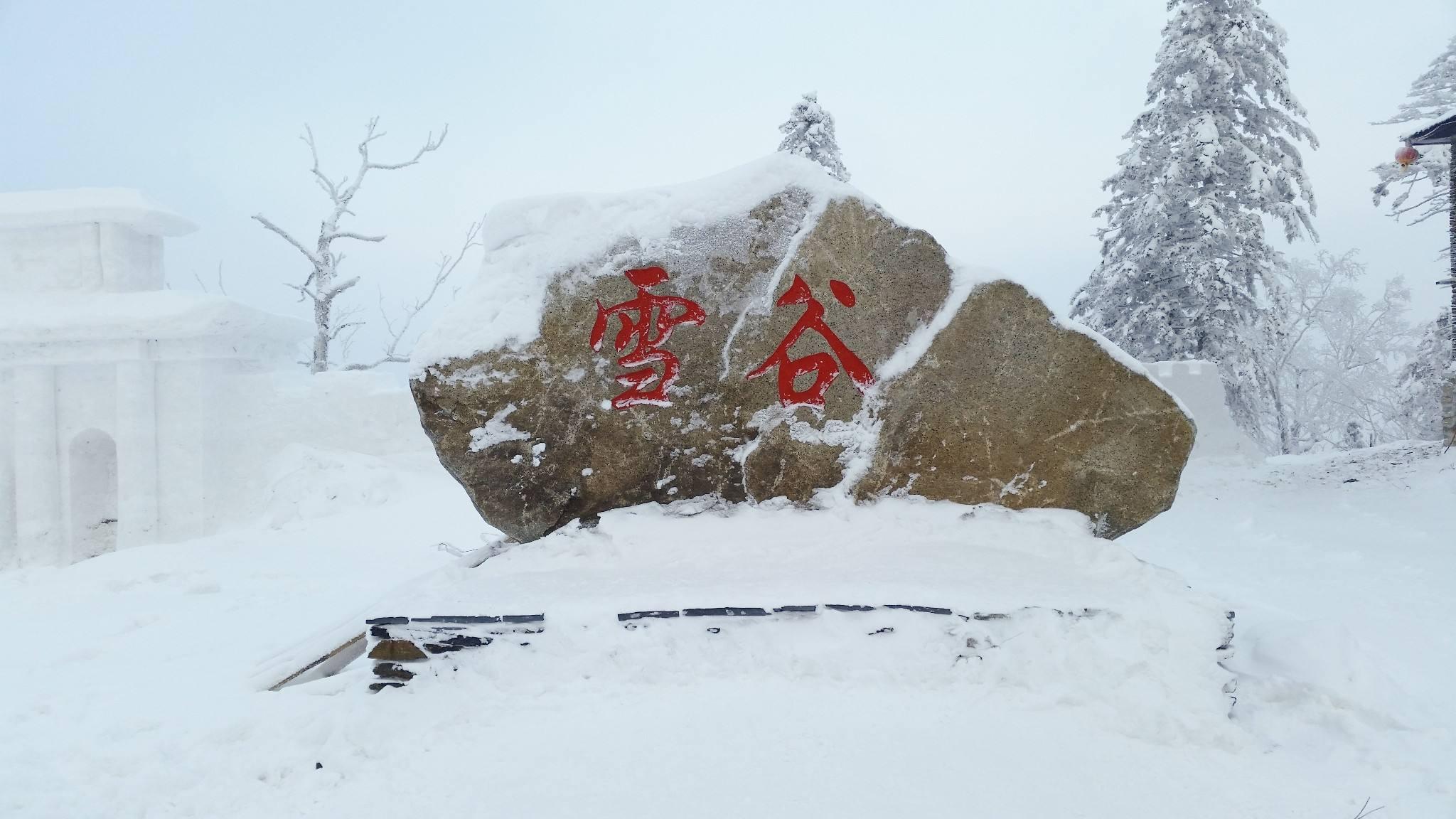 关于雪谷 知乎