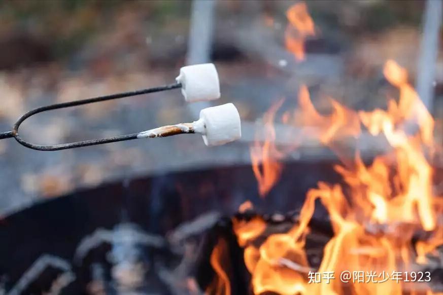 寒食节提醒：2不做，3要吃，2忌讳，不忘传统家业兴旺 - 知乎