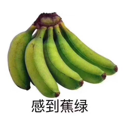 你焦虑么?