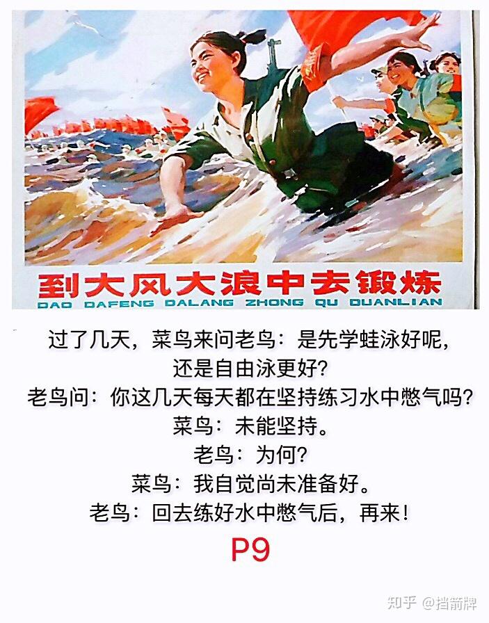 鸟儿问答老鸟与菜鸟的对话