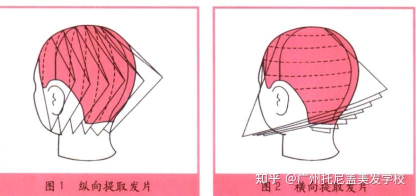 深圳美发学校分享剪发时常用的提取发片的方法有几种?