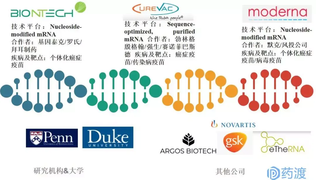 mRNA疗法——疫苗通向未来的大门 - 知乎