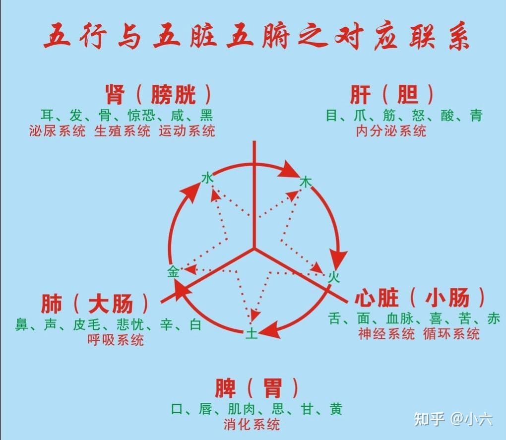 加速气血循环_加强气血循环_如何促进血液循环增强气血