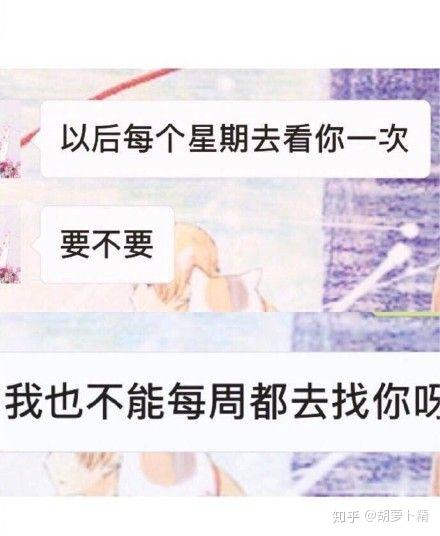 大猪蹄子到底什么梗 看这里就够了 内含表情包 知乎 大猪蹄子到底什么梗 看这里就够了 内含表情包 知乎