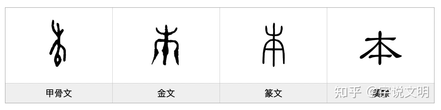 本——每日一字·木部字 - 知乎
